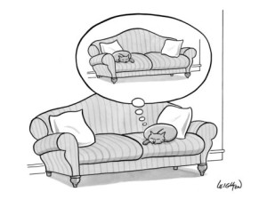 robert-leighton-cat-on-a-couch-dreaming-about-being-on-the-other-side-of-the-couch-new-yorker-cartoon